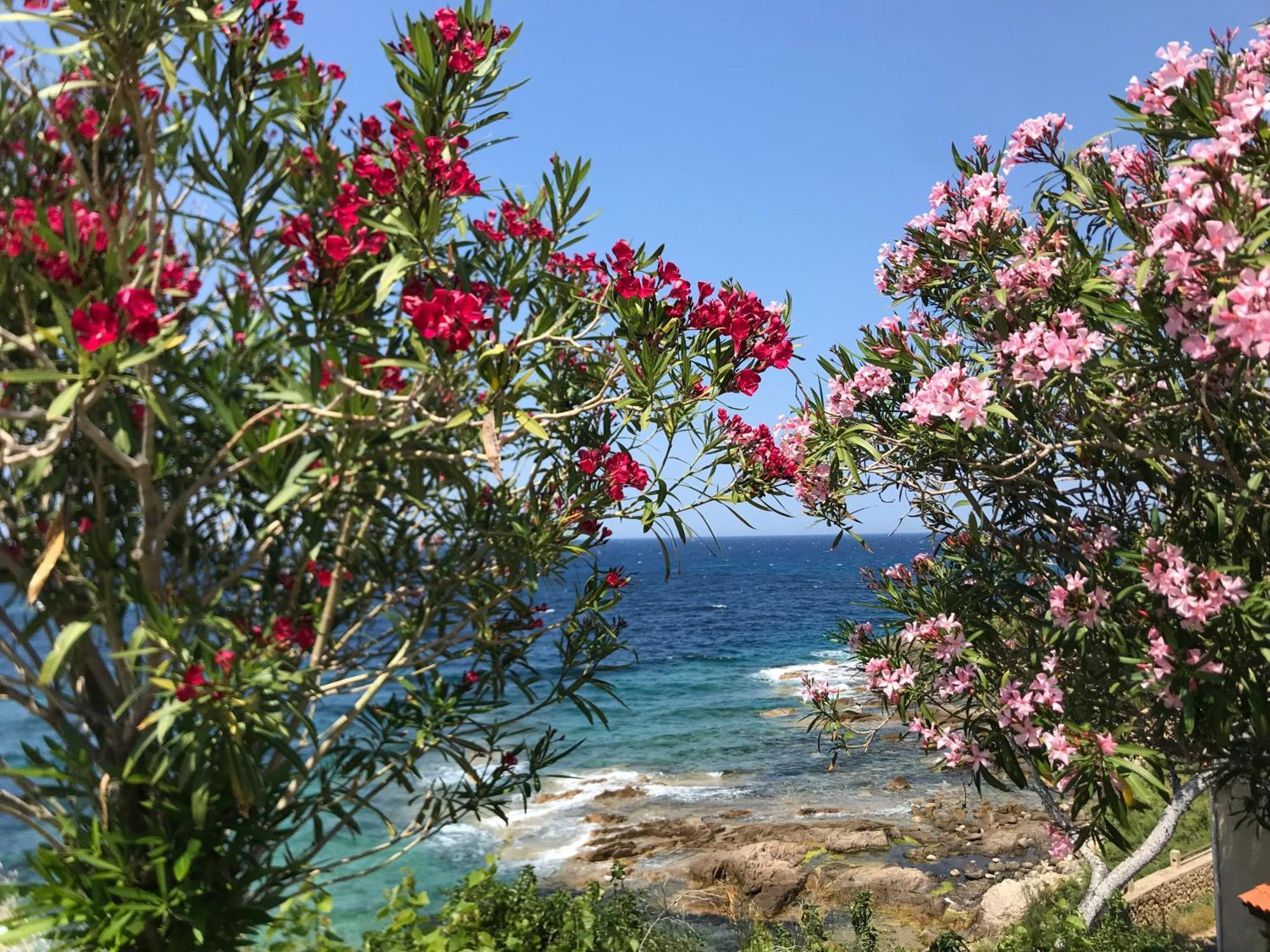 LʼÎle-RousseNidu Accogliente In Balagna公寓 外观 照片